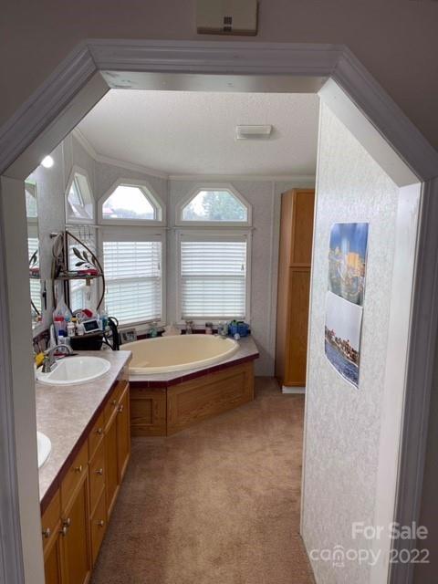 1825 Emanuel Church Road Rockwell, NC 28138 - Photo 8 of 21 a large spacious bathroom with a granite countertop sink mirror and a bathtub