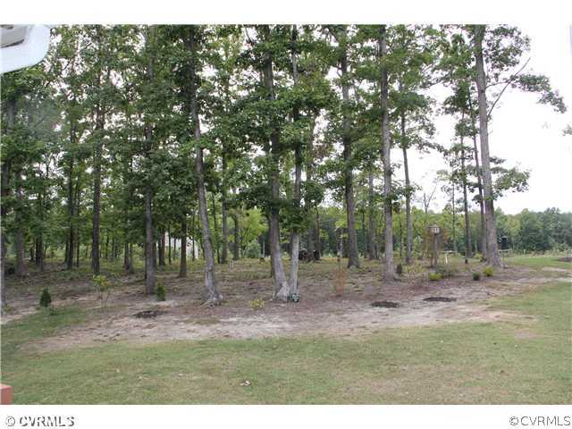 556 Green Town Road Farmville, VA 23901 - Photo 17 of 20 Yard/Garden