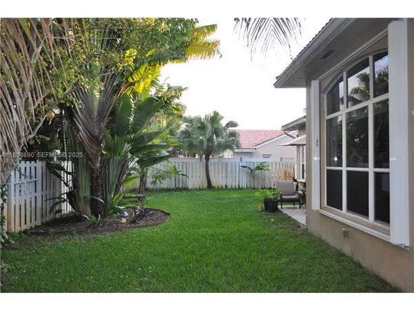 a view of a backyard with plants and a large tree