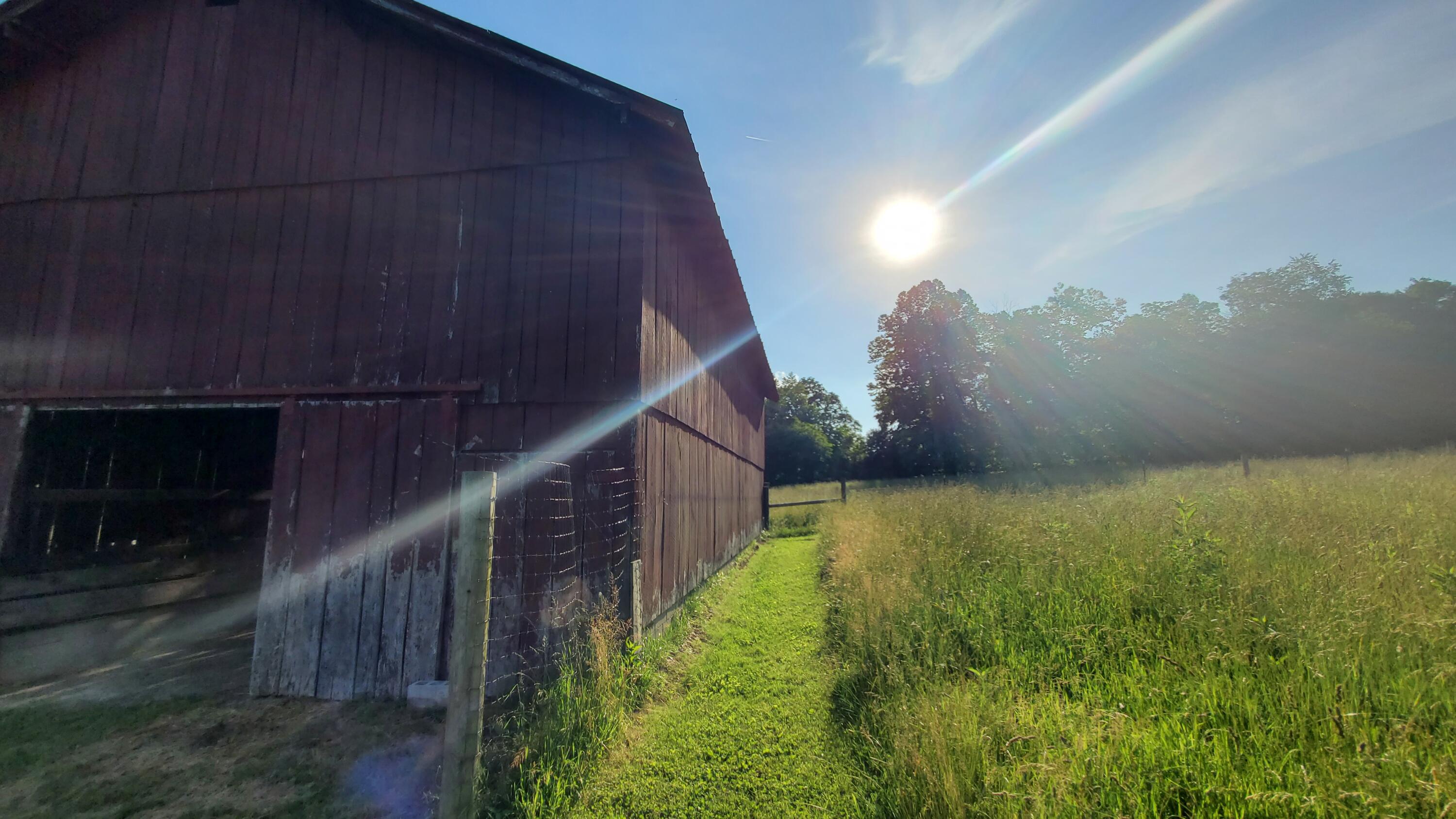 2875 Pointer Creek Road Science Hill, KY 42553 - Photo 67 of 81 2nd barn