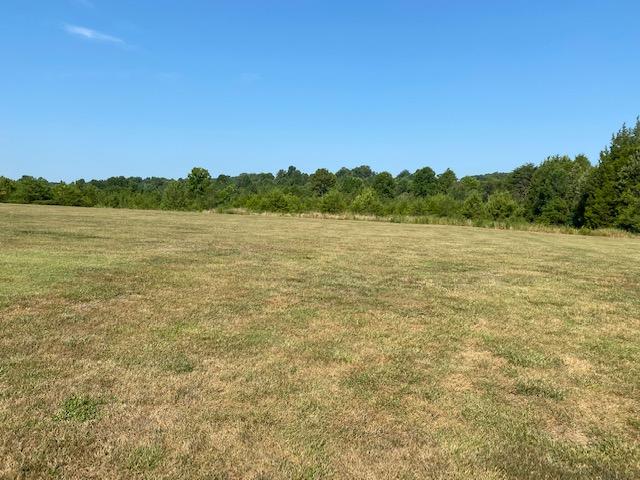 905 Hawkins Road Sweetwater, TN 37874 - Photo 35 of 36 View from Back porch