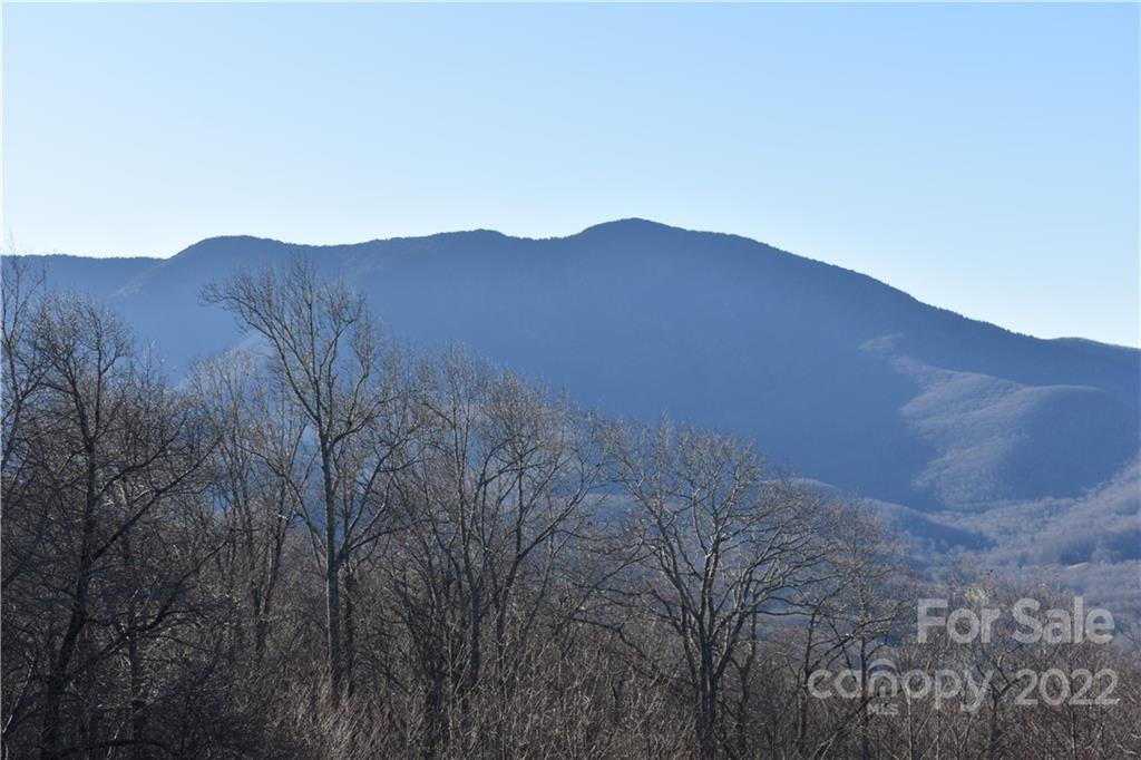 451 Cabbage Patch Road Burnsville, NC 28714 - Photo 1 of 38 Gallery Image 1