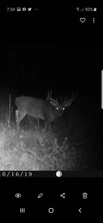 $374,900 | 80 Elroy Wi 53929, Elroy, WI 53929