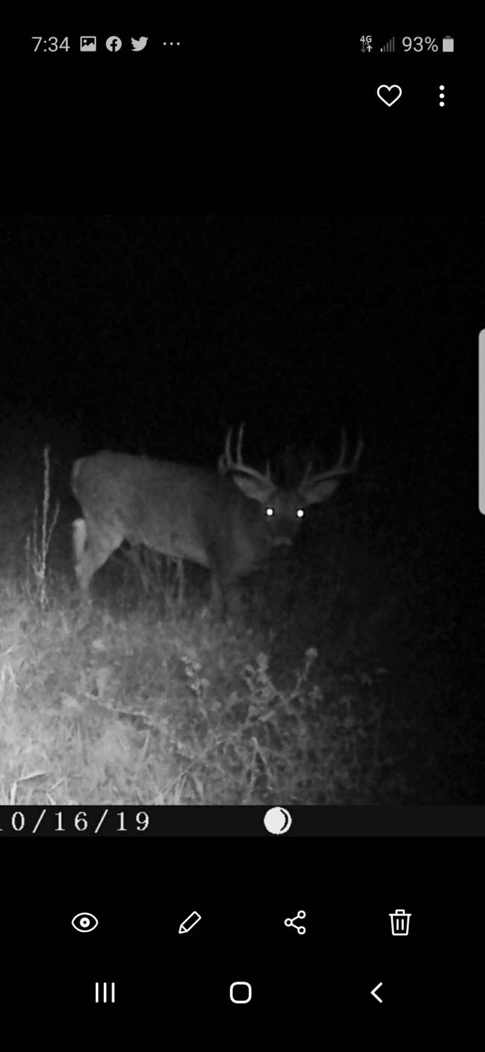 80 Elroy Wi 53929 Elroy, WI 53929 - Photo 11 of 23