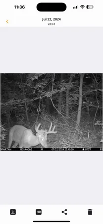 $374,900 | 80 Elroy Wi 53929, Elroy, WI 53929