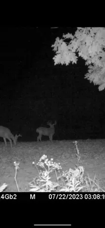 $374,900 | 80 Elroy Wi 53929, Elroy, WI 53929