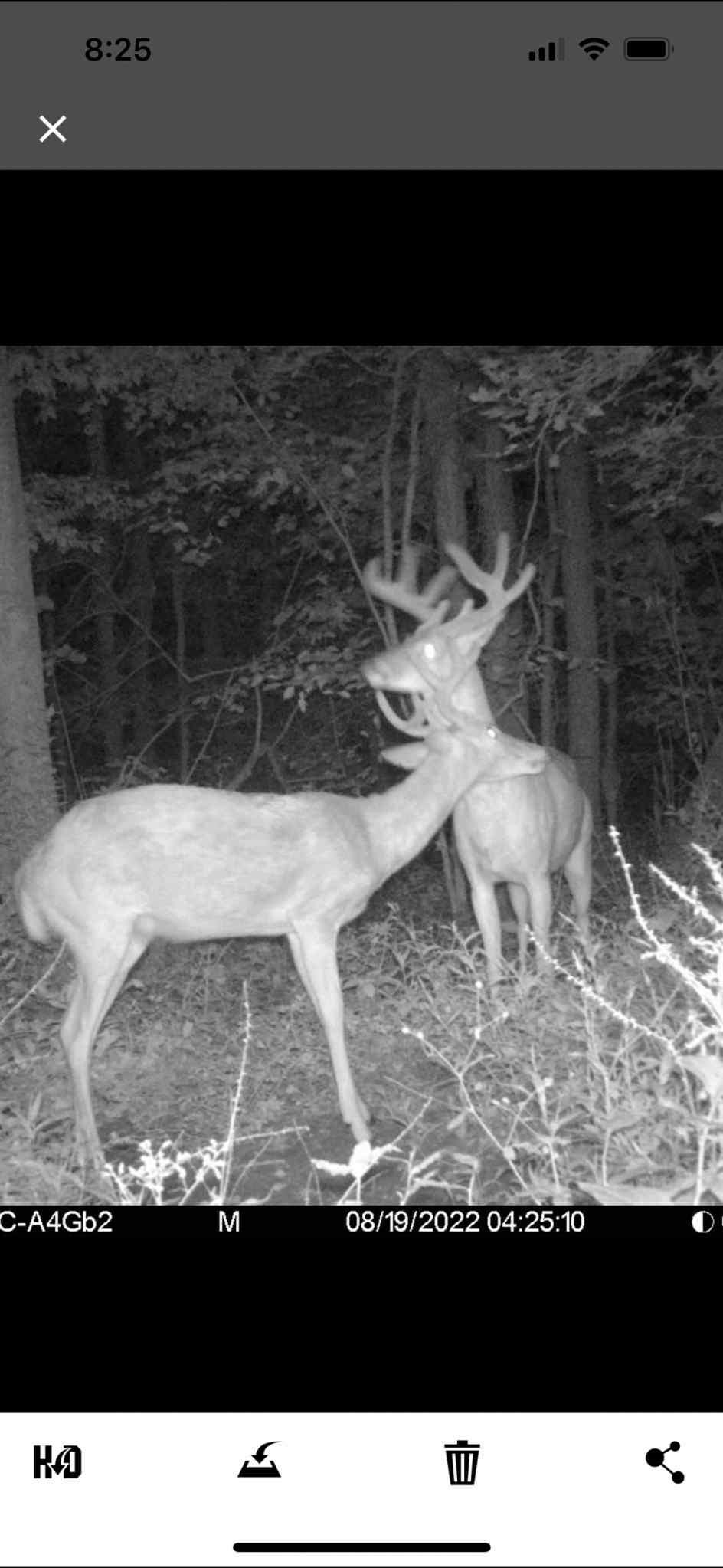 80 Elroy Wi 53929 Elroy, WI 53929 - Photo 16 of 23