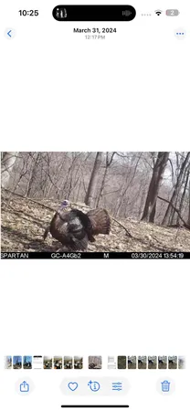 $374,900 | 80 Elroy Wi 53929, Elroy, WI 53929