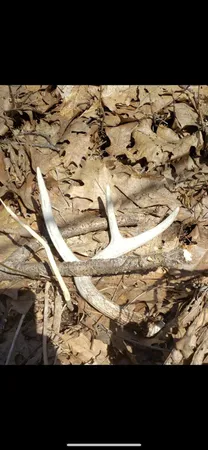 $374,900 | 80 Elroy Wi 53929, Elroy, WI 53929