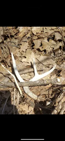 $374,900 | 80 Elroy Wi 53929, Elroy, WI 53929