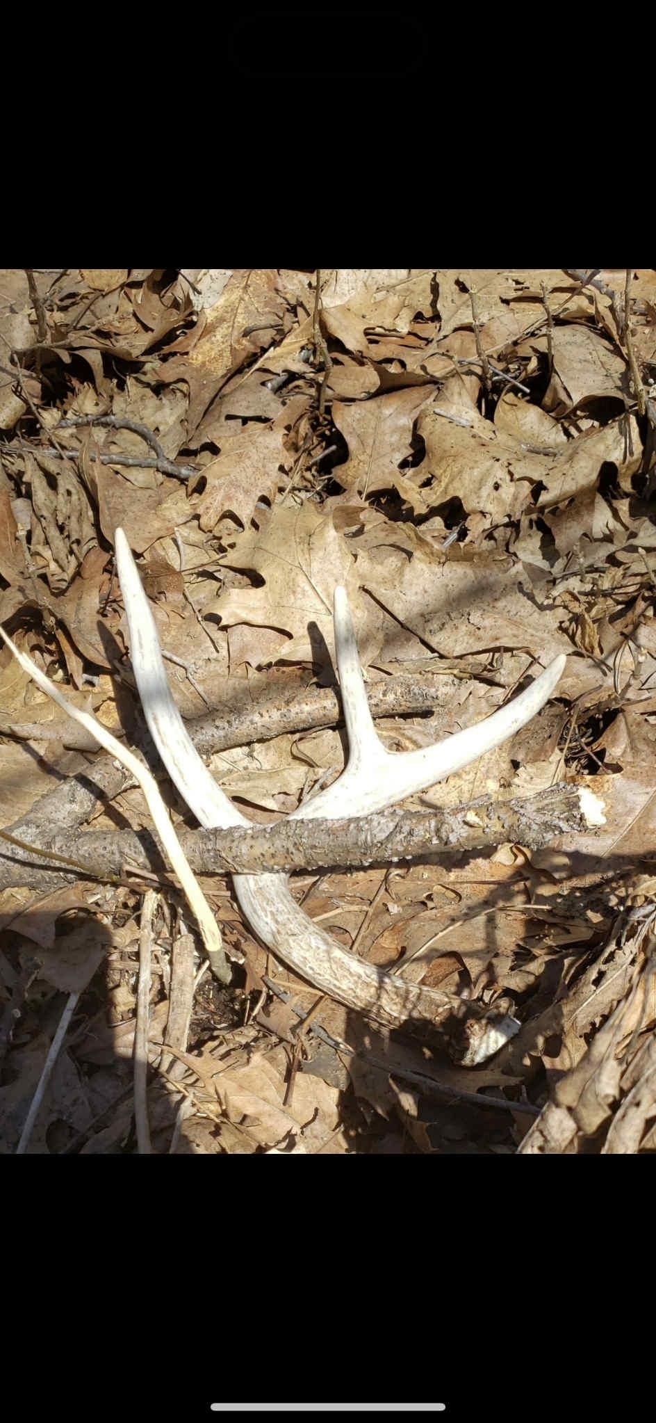 80 Elroy Wi 53929 Elroy, WI 53929 - Photo 18 of 23