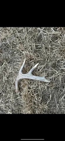 $374,900 | 80 Elroy Wi 53929, Elroy, WI 53929