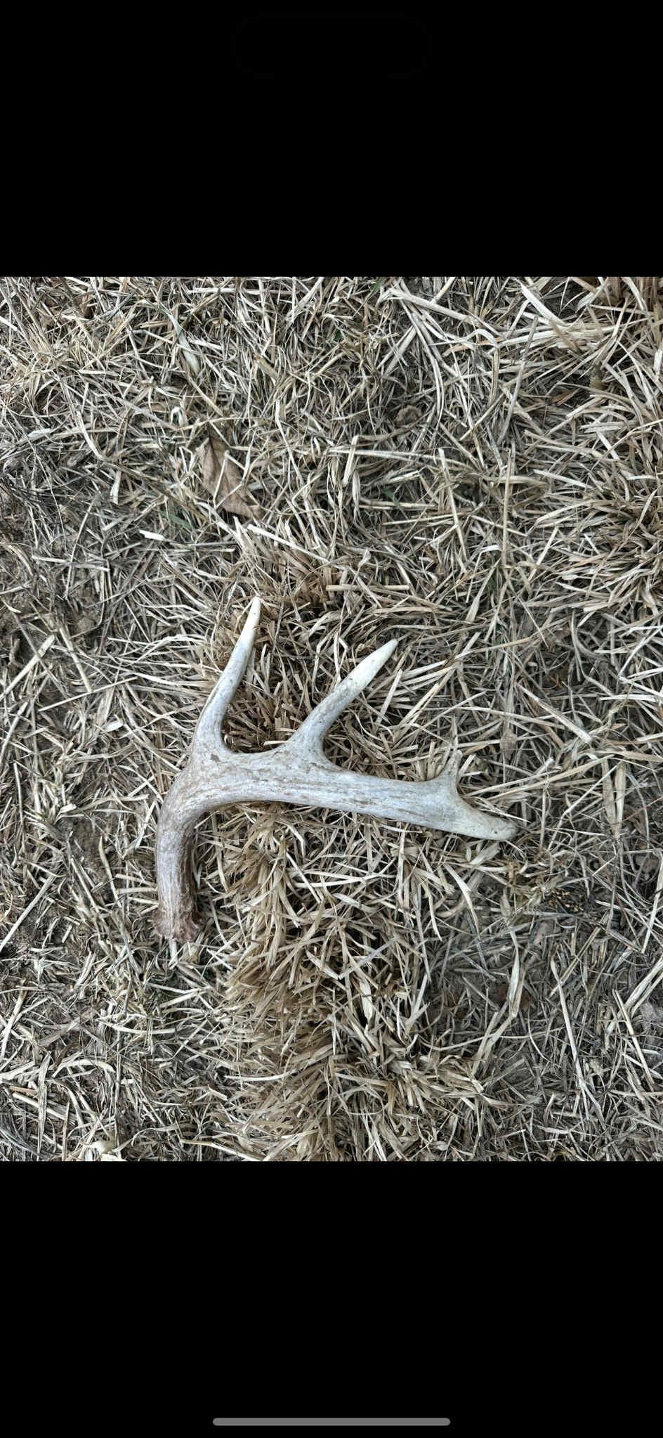 80 Elroy Wi 53929 Elroy, WI 53929 - Photo 19 of 23