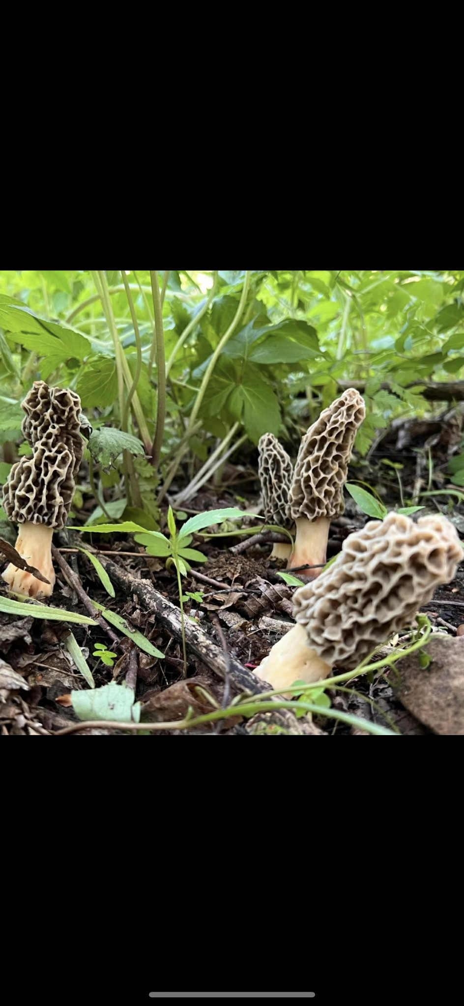 80 Elroy Wi 53929 Elroy, WI 53929 - Photo 20 of 23