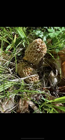 $374,900 | 80 Elroy Wi 53929, Elroy, WI 53929