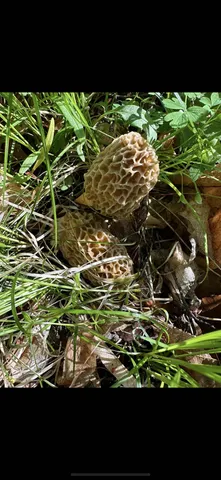 $374,900 | 80 Elroy Wi 53929, Elroy, WI 53929