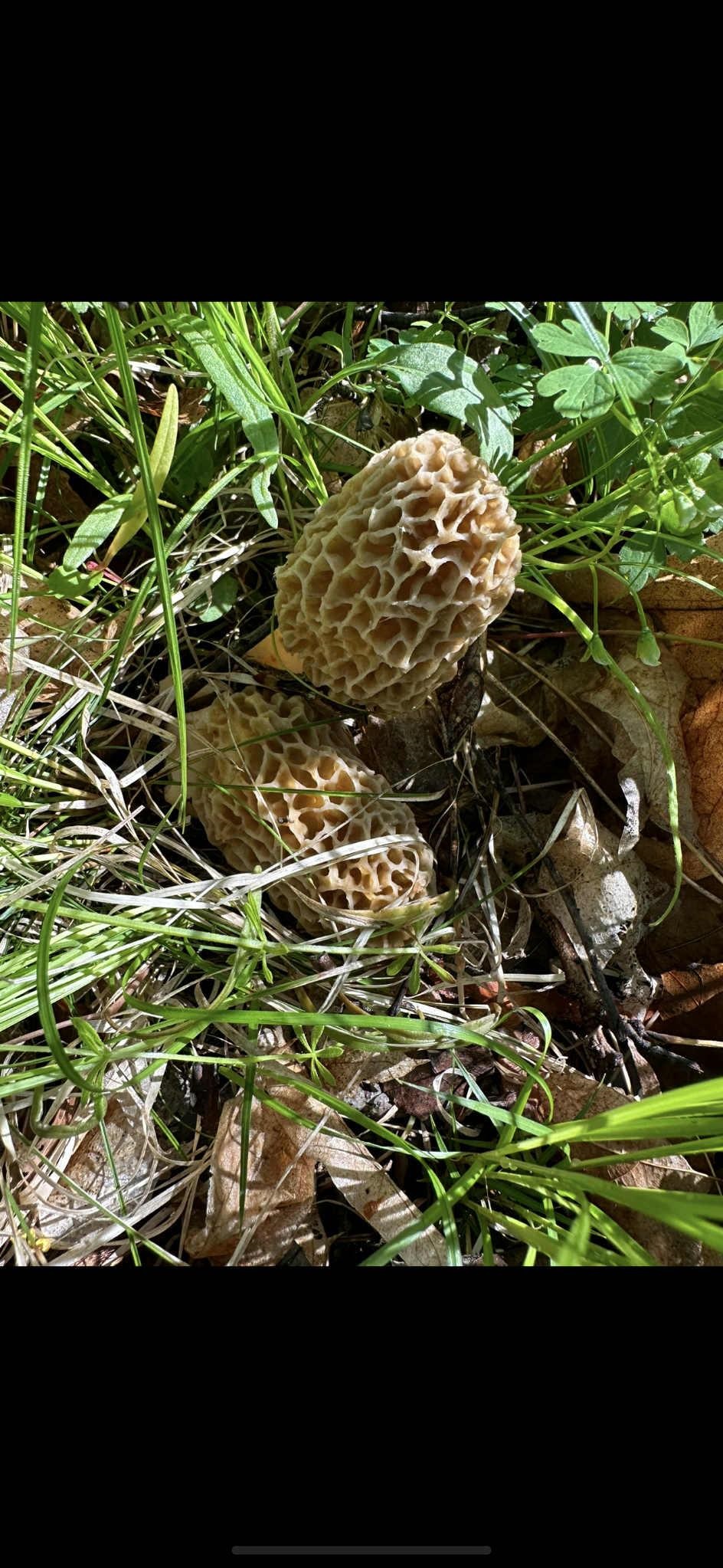 80 Elroy Wi 53929 Elroy, WI 53929 - Photo 21 of 23