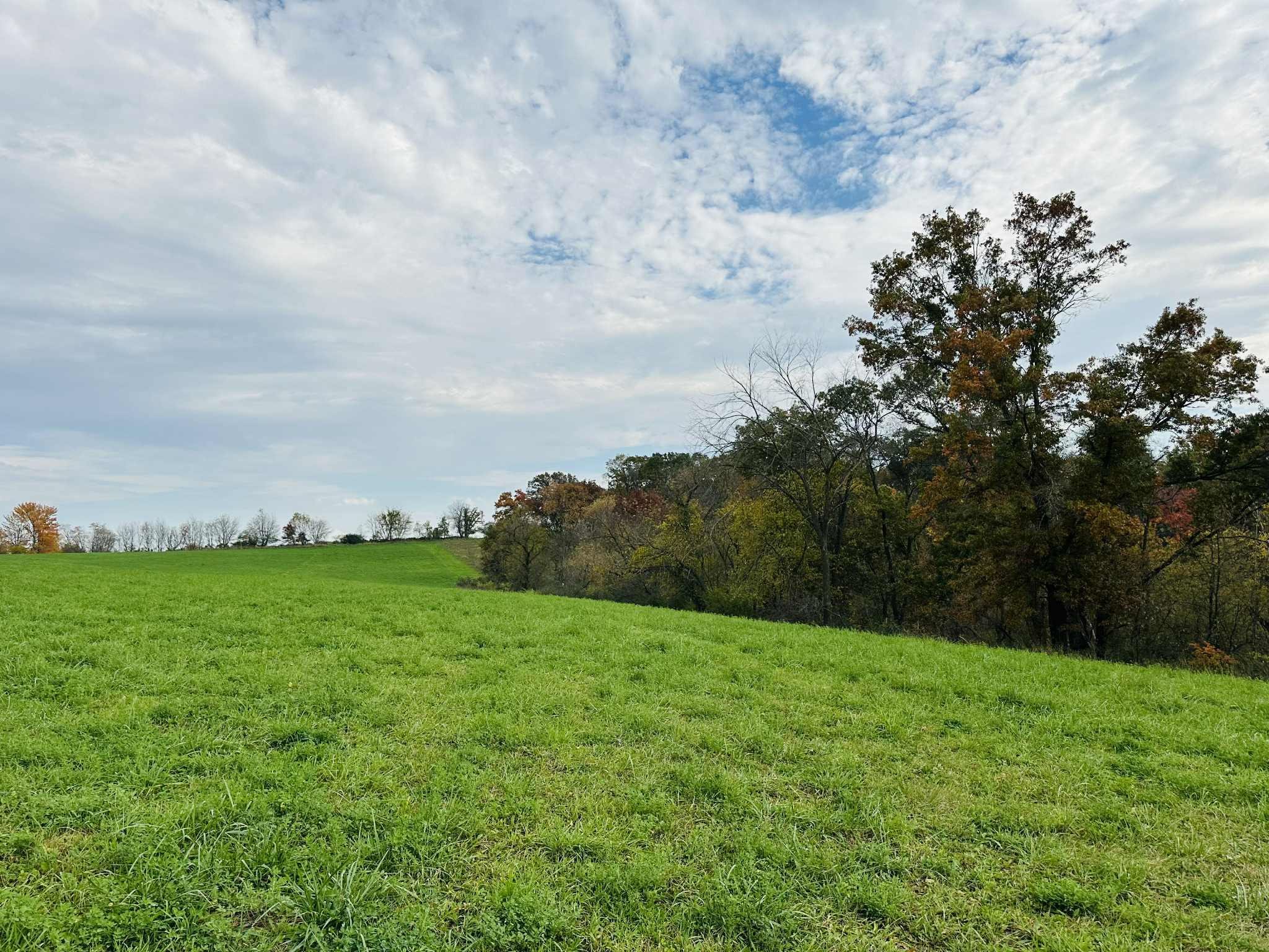 80 Elroy Wi 53929 Elroy, WI 53929 - Photo 3 of 23