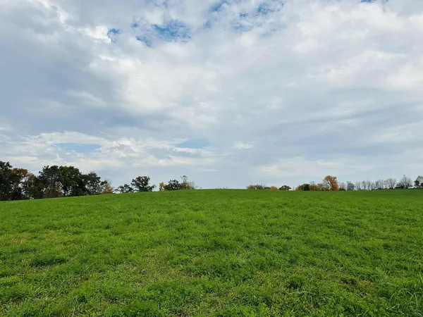 $374,900 | 80 Elroy Wi 53929, Elroy, WI 53929