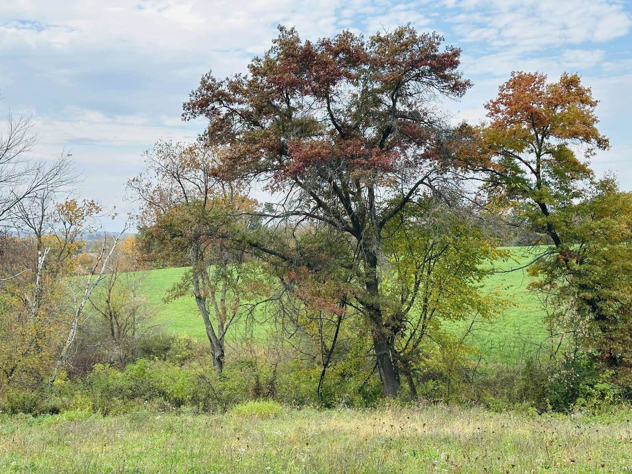 80 Elroy Wi 53929 Elroy, WI 53929 - Photo 7 of 23