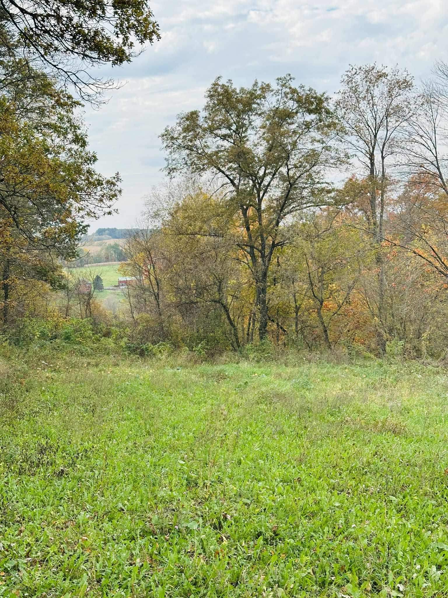 80 Elroy Wi 53929 Elroy, WI 53929 - Photo 8 of 23