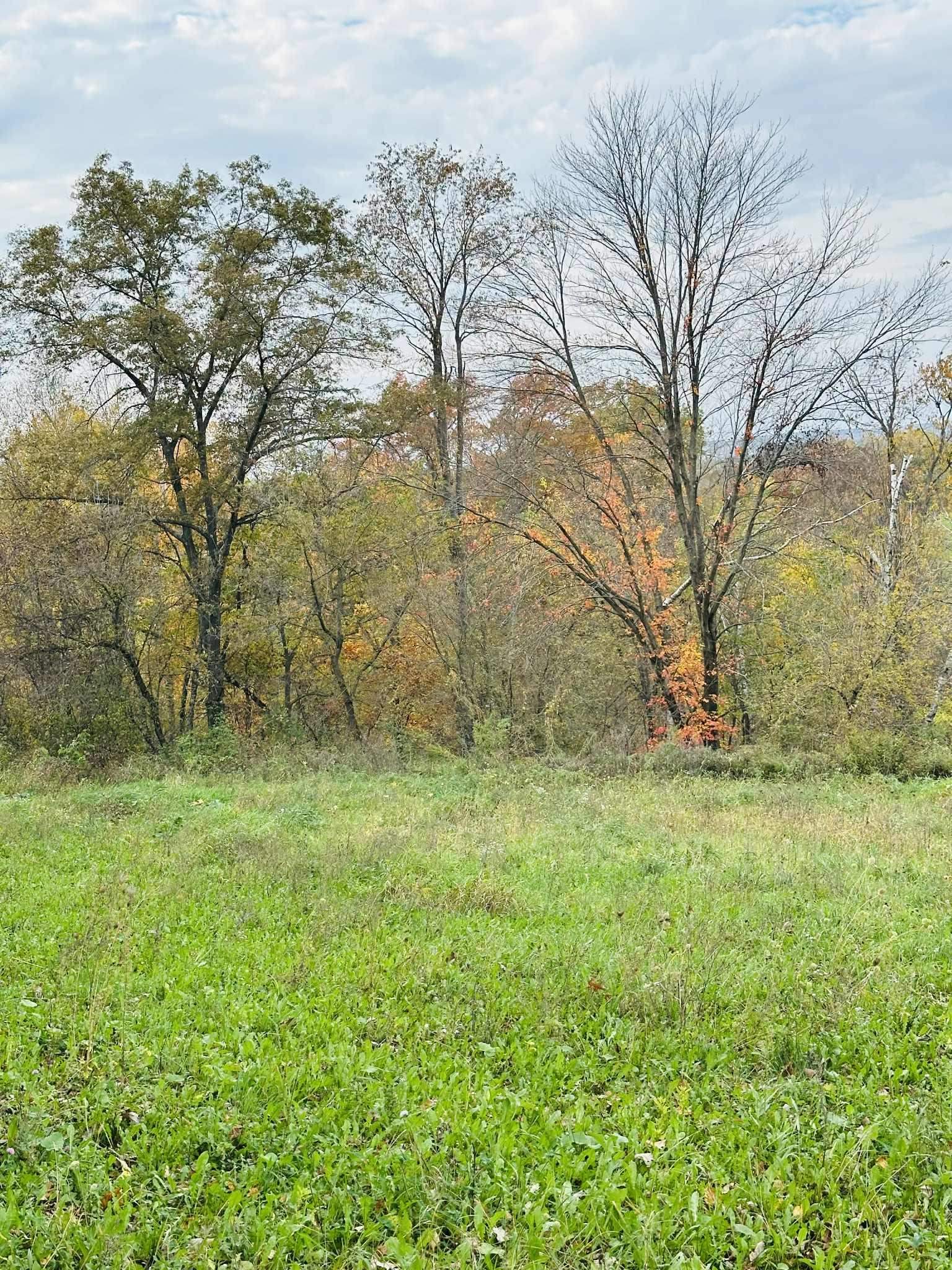 80 Elroy Wi 53929 Elroy, WI 53929 - Photo 9 of 23