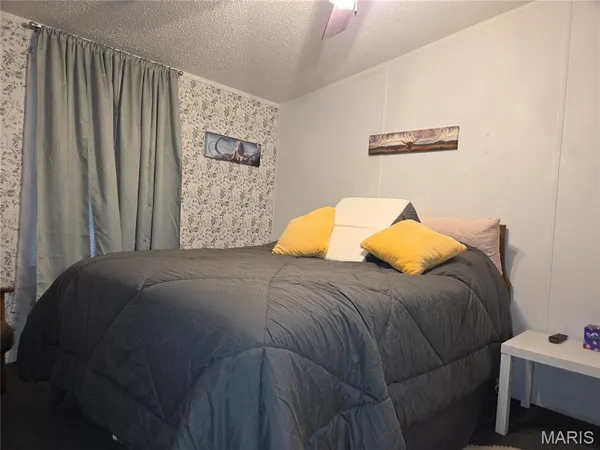 $195,000 | 377 South Oak, Wappapello, MO 63966