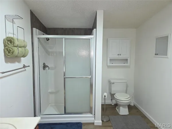 $195,000 | 377 South Oak, Wappapello, MO 63966