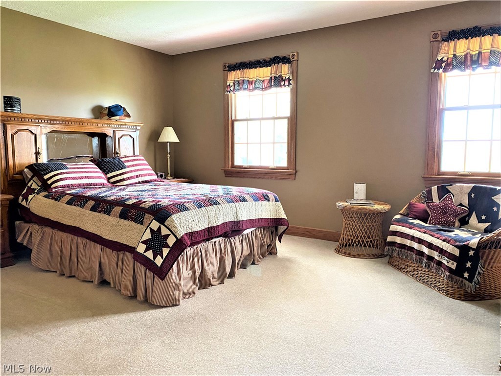 8010 Rice Road Amherst, OH 44001 - Photo 27 of 35