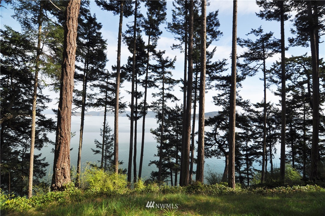 0 Sunrise Road Lopez Island, WA 98261 - Photo 14 of 25