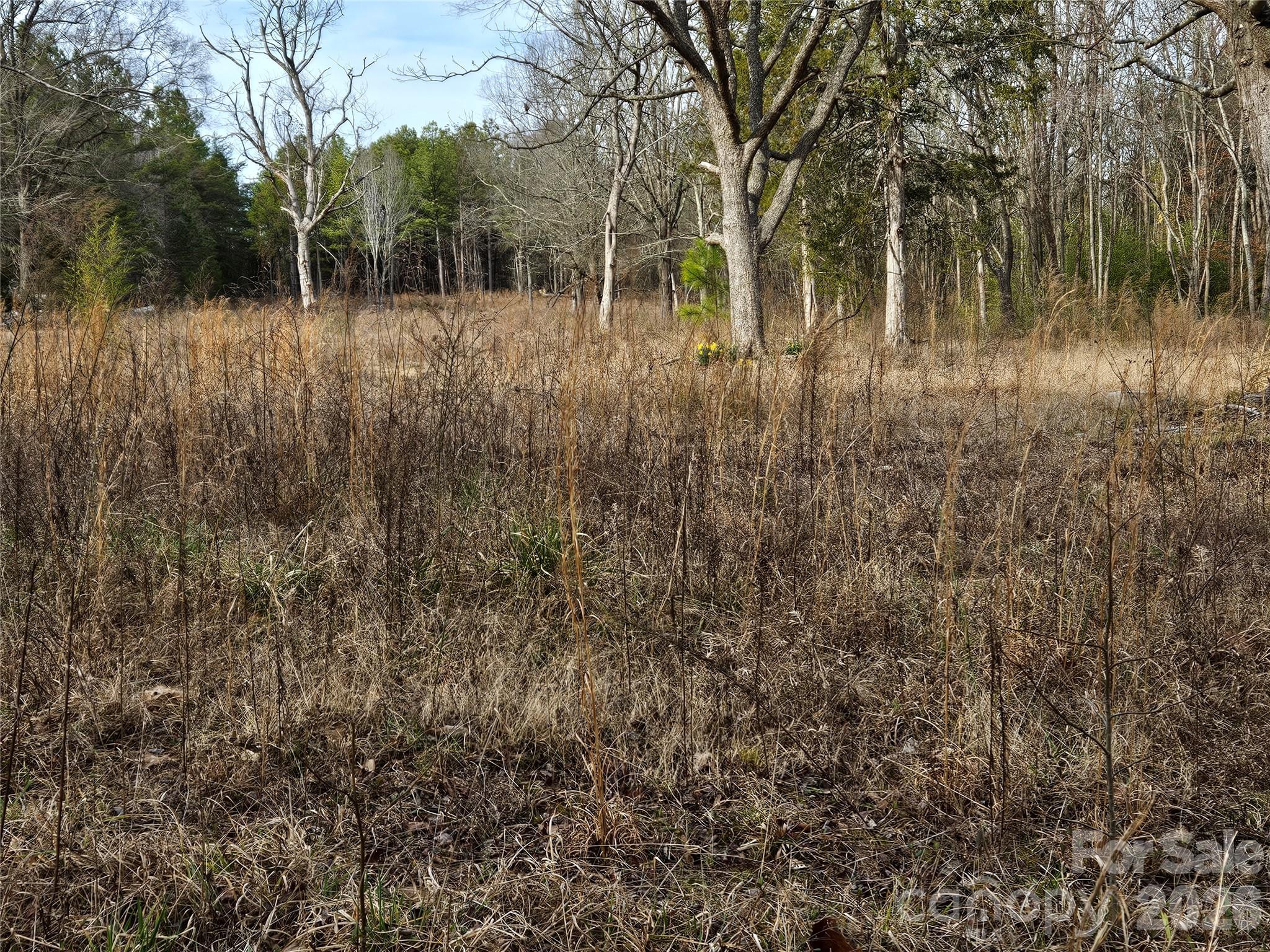 1450 St Lukes Church Road Salisbury, NC 28146 - Photo 3 of 5 Gallery Image 3