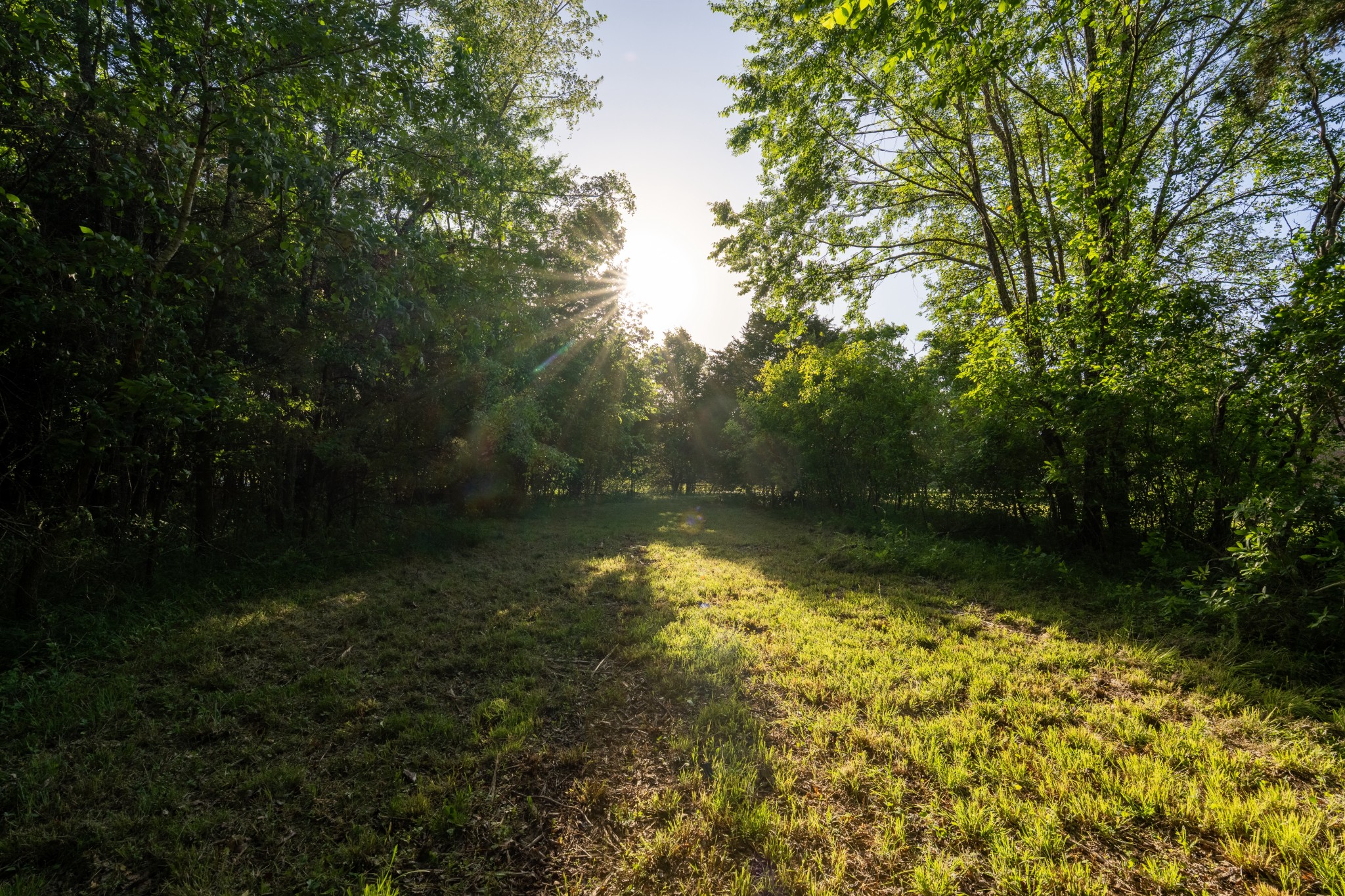 0 Fellowship Road Mount Juliet, TN 37122 - Photo 5 of 7