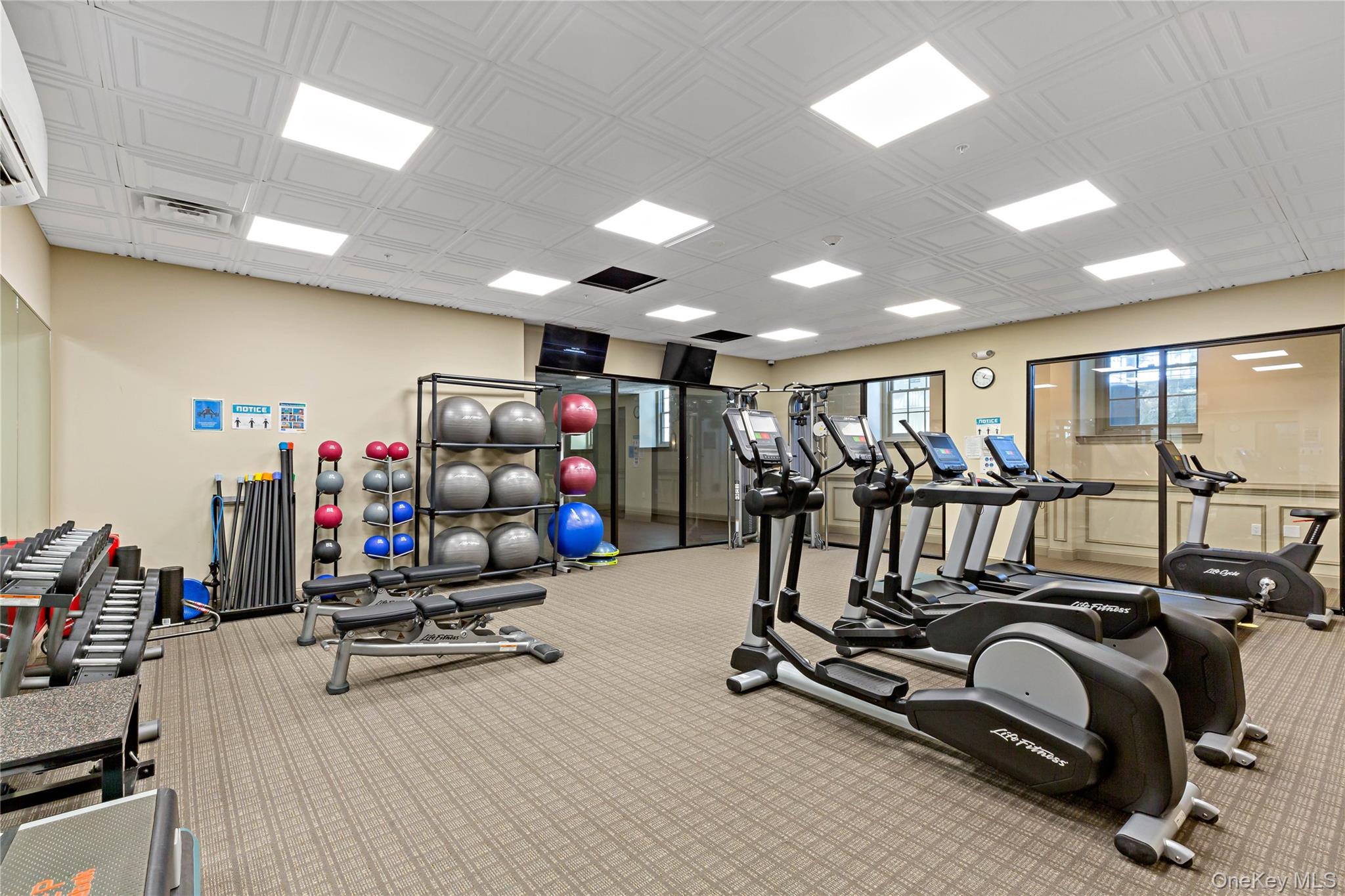 341 Furnace Dock Road, Unit 5 Cortlandt Manor, NY 10567 - Photo 32 of 41 a view of a room with gym equipment