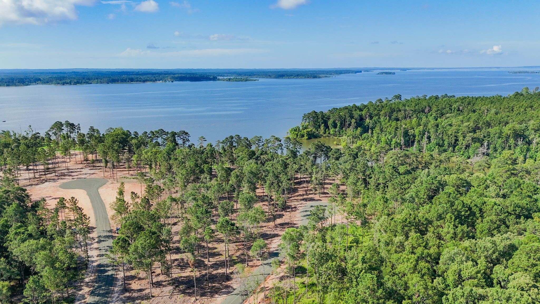 229 Foster Cove Bronson, TX 75930 - Photo 16 of 17 a view of a lake with a yard