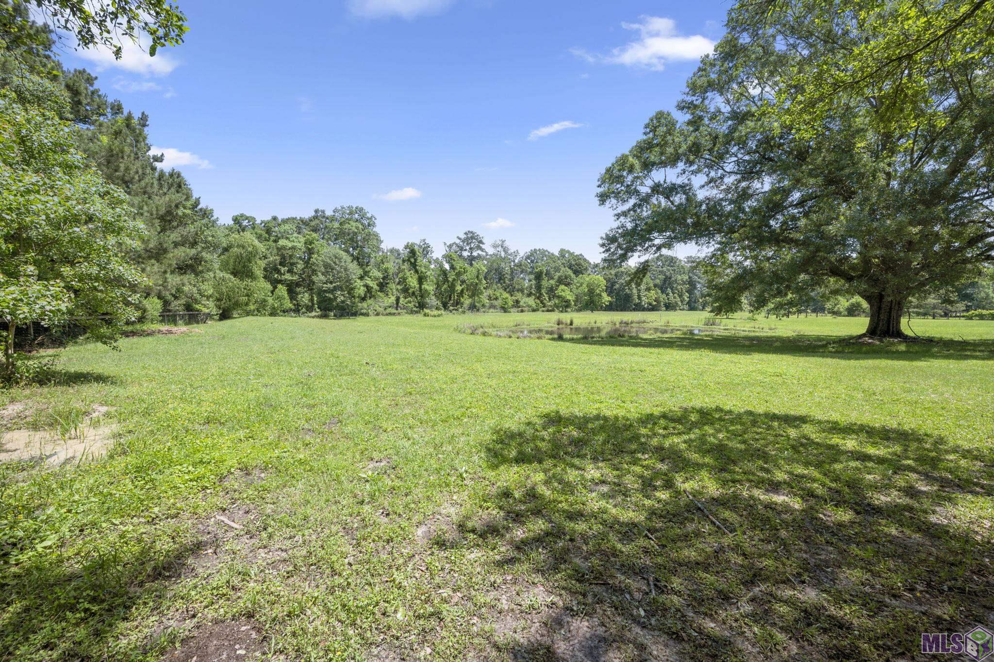 18003 Faller Road Tickfaw, LA 70466 - Photo 26 of 34 Grazing area