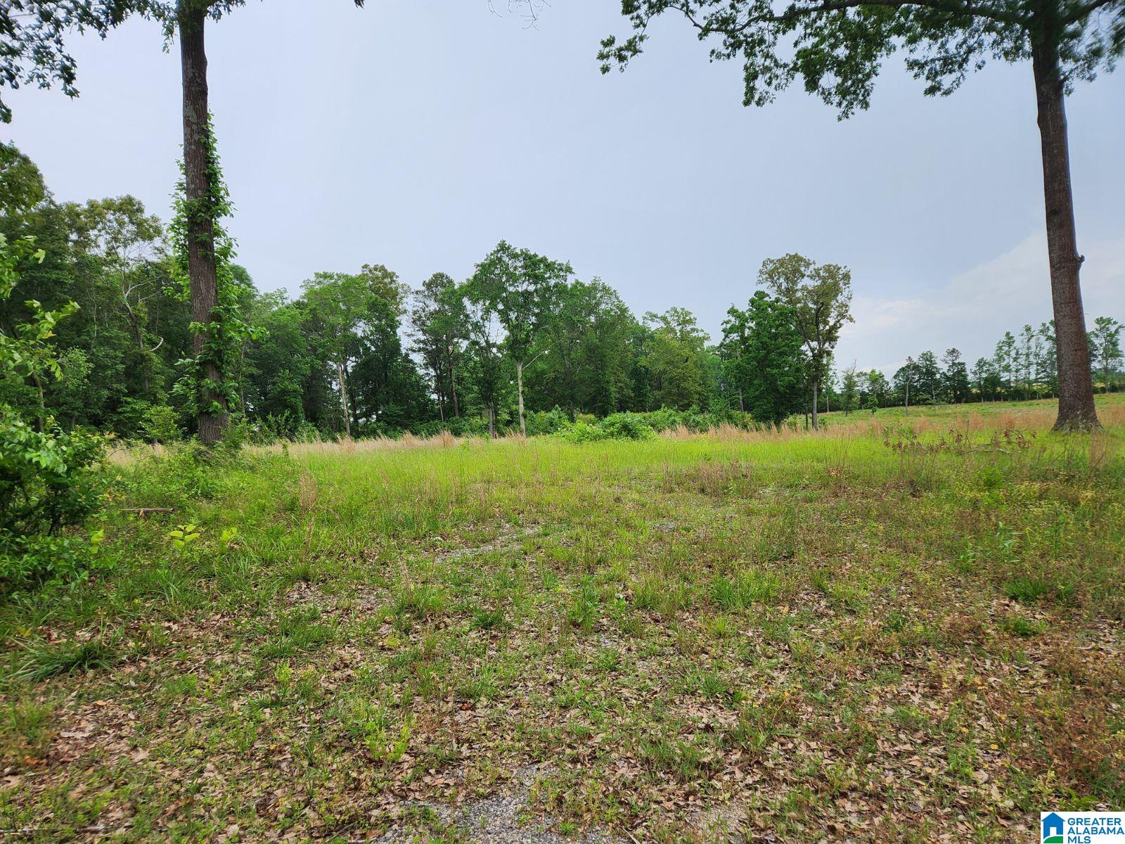 101 Little Road, Unit 2 LOTS Altoona, AL 35952 - Photo 1 of 2