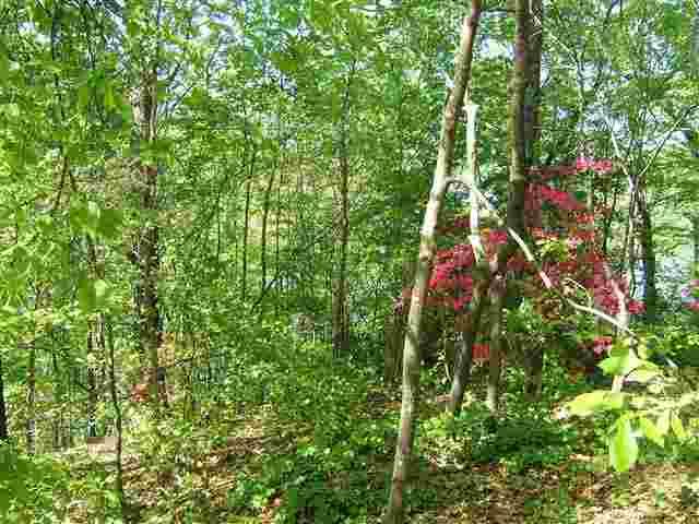 Lot 7 Guy Road Anderson, SC 29625 - Photo 16 of 20 Gallery Image 16