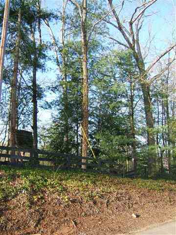 Lot 7 Guy Road Anderson, SC 29625 - Photo 8 of 20 Gallery Image 8