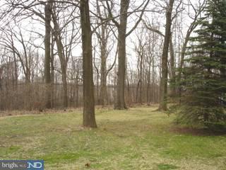 115 Spring Road Malvern, PA 19355 - Photo 2 of 6 Gallery Image 2