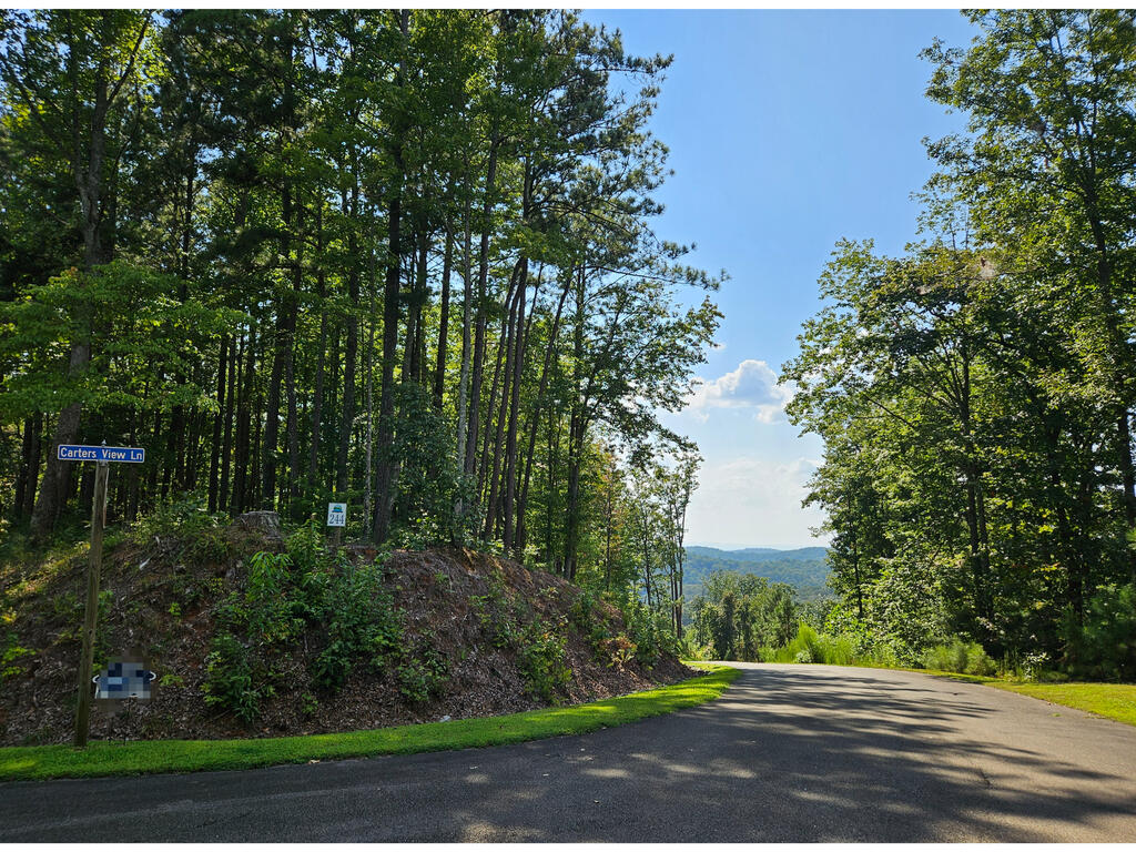 Carters View Lane, Paved road access, dense natural tree cover, sloped terrain, clear sky, mountain view