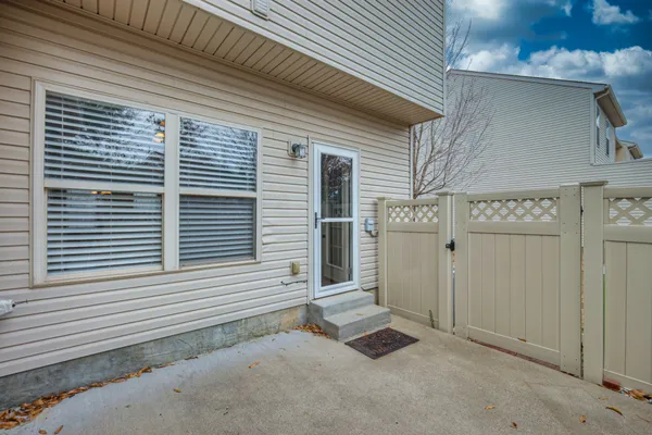 a view of a plants and trees