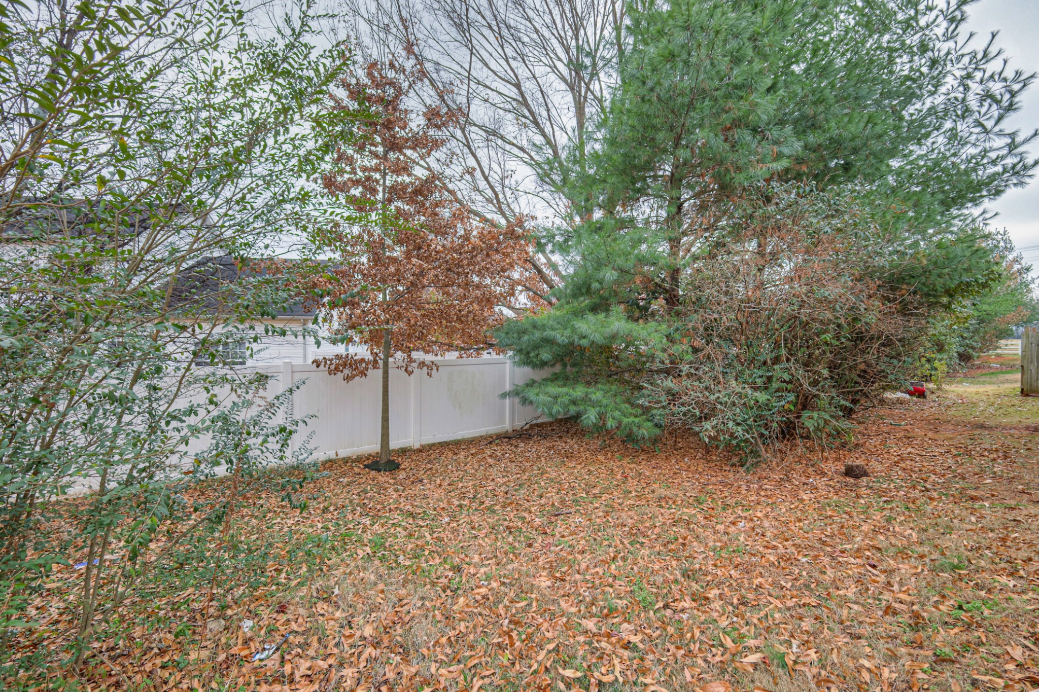 5441 Perlou Lane Murfreesboro, TN 37128 - Photo 27 of 29 a view of a plants and trees