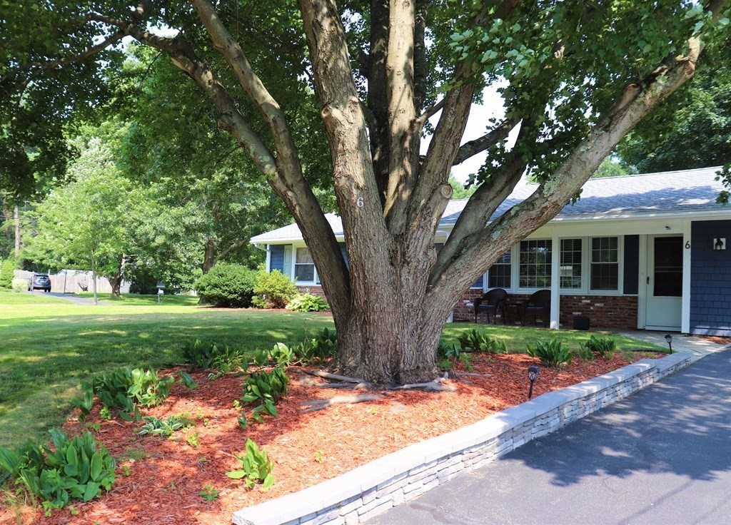6 Francine Road Raynham, MA 02767 - Photo 15 of 40 Gallery Image 15