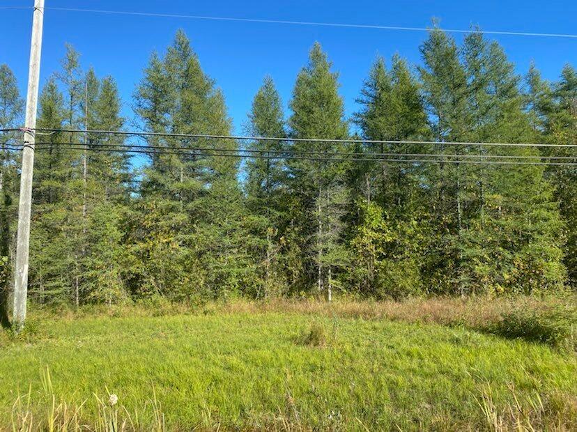 Nhn French Road Alpena, MI 49707 - Photo 4 of 4 Gallery Image 4