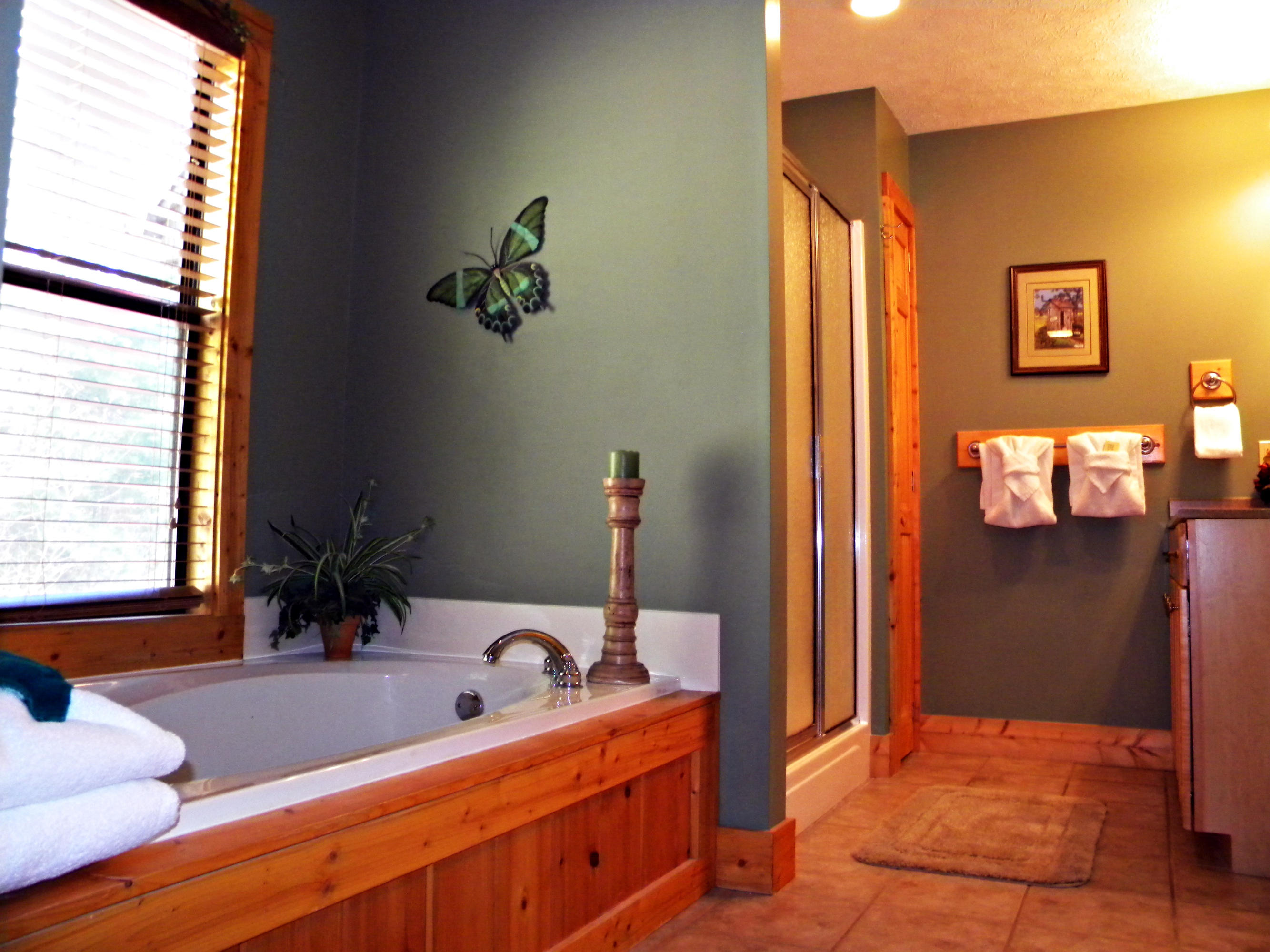 2325 High Top Loop Sevierville, TN 37862 - Photo 9 of 15 7 DSCN6553