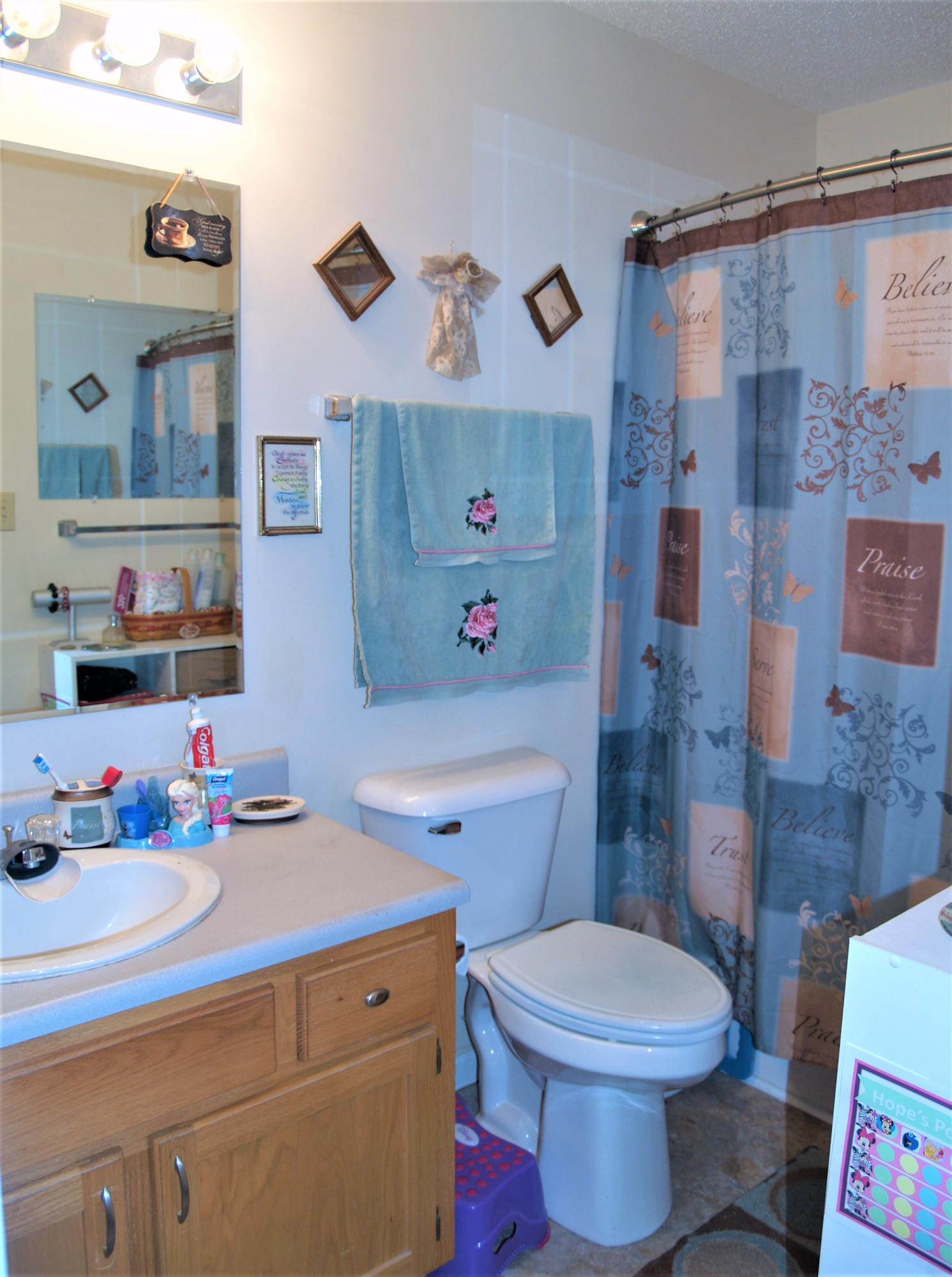3851 Big Springs Ridge Road Friendsville, TN 37737 - Photo 15 of 32 Hall Bath