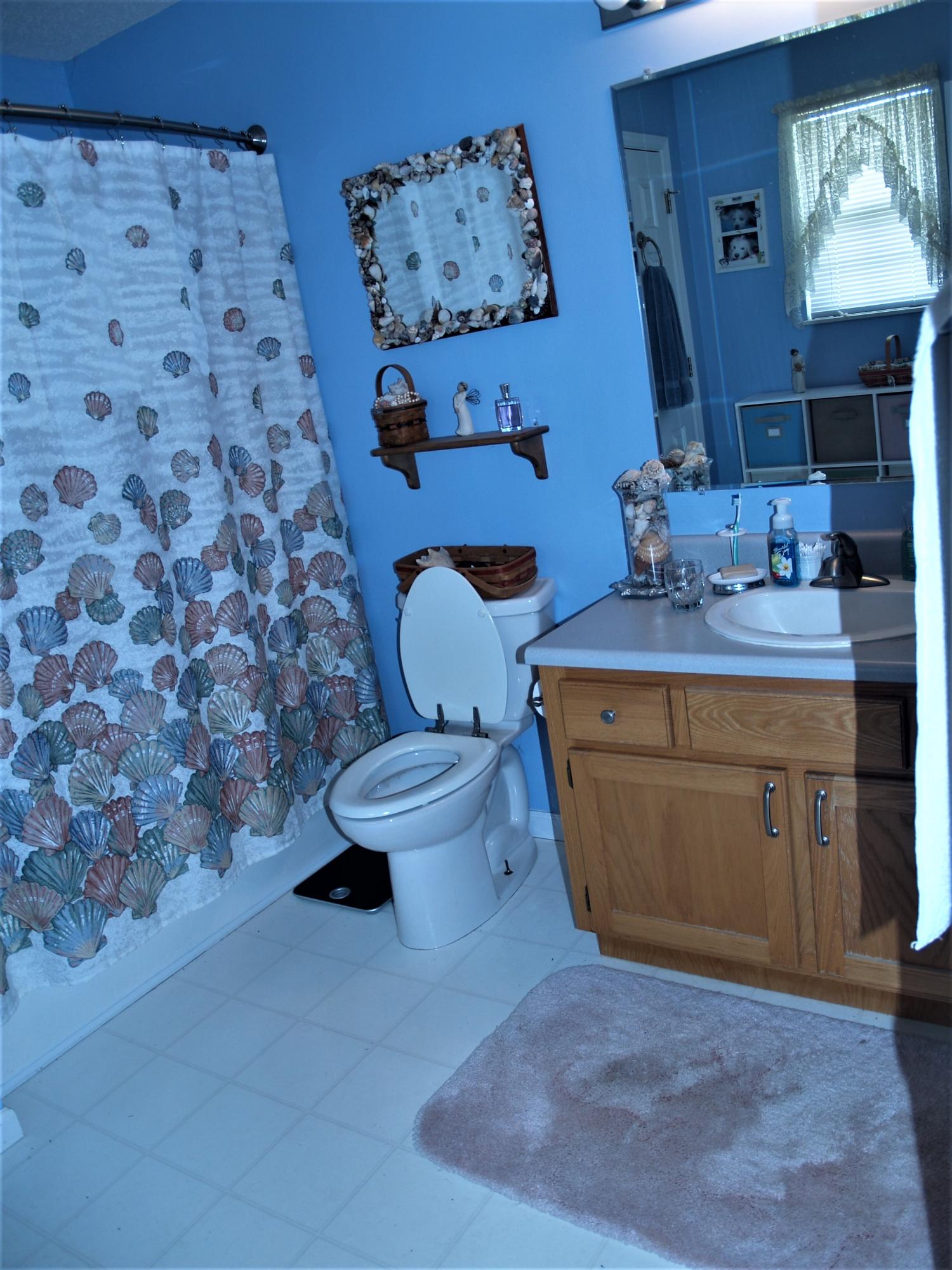 3851 Big Springs Ridge Road Friendsville, TN 37737 - Photo 20 of 32 Master Bath