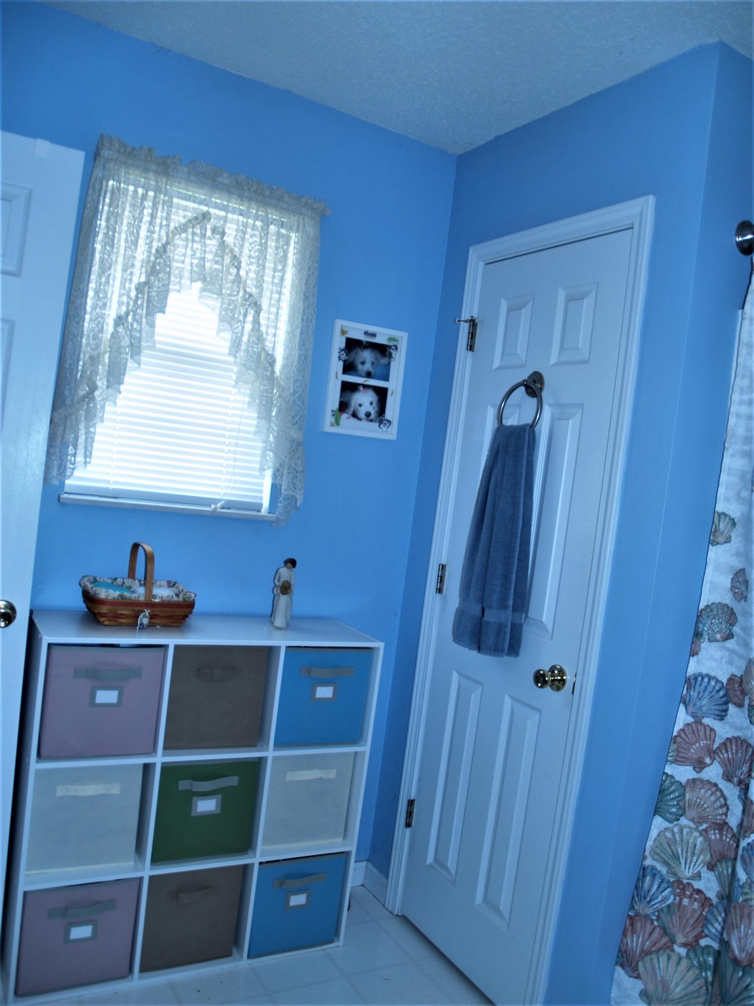 3851 Big Springs Ridge Road Friendsville, TN 37737 - Photo 21 of 32 Master Bath