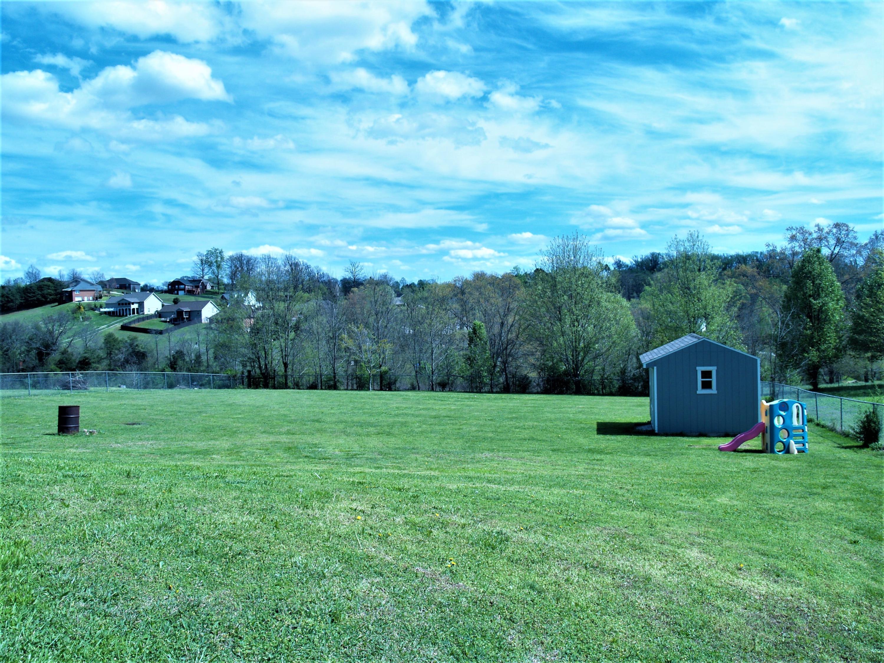 3851 Big Springs Ridge Road Friendsville, TN 37737 - Photo 23 of 32 Rear Yard