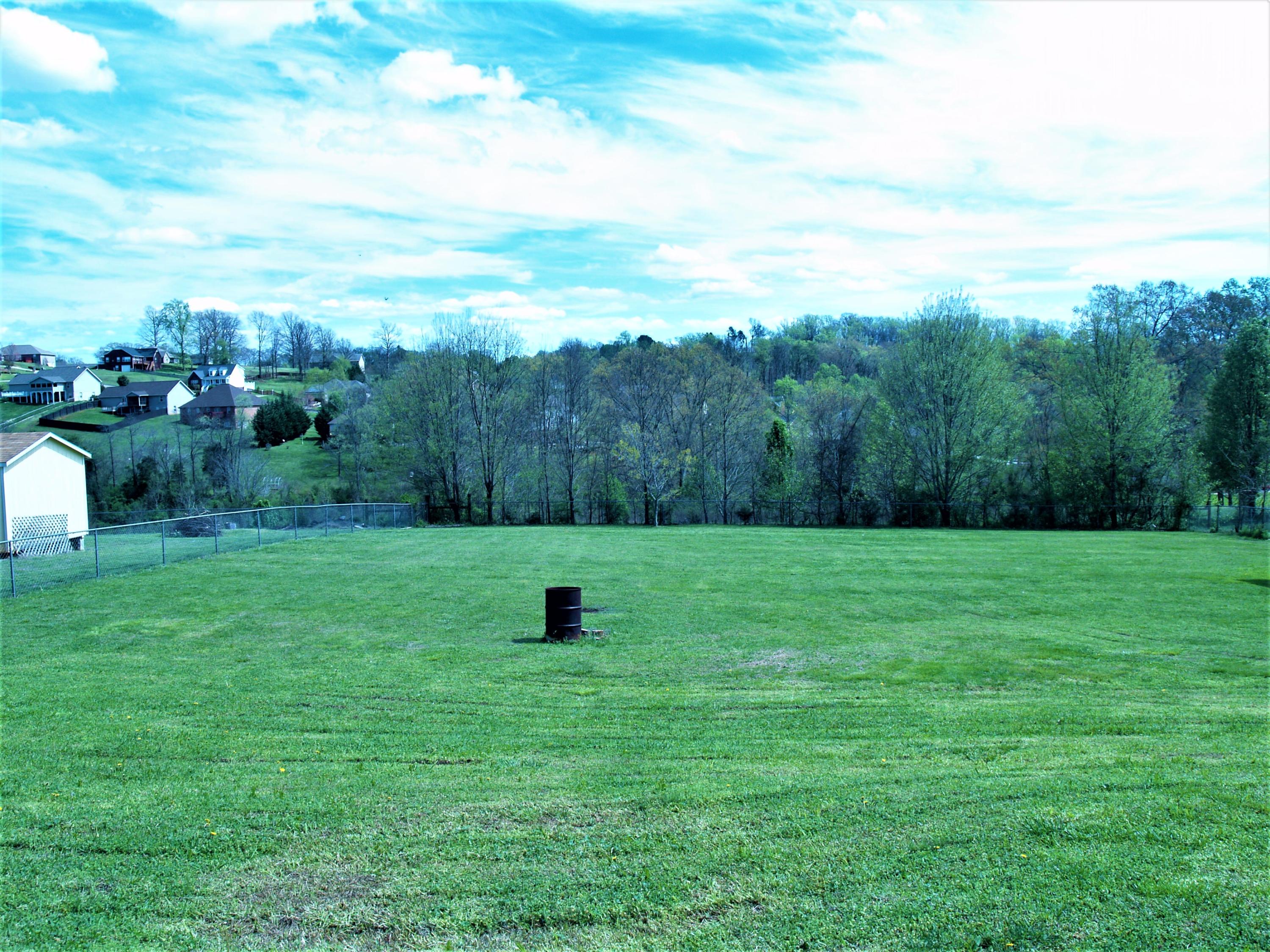 3851 Big Springs Ridge Road Friendsville, TN 37737 - Photo 24 of 32 Rear Yard